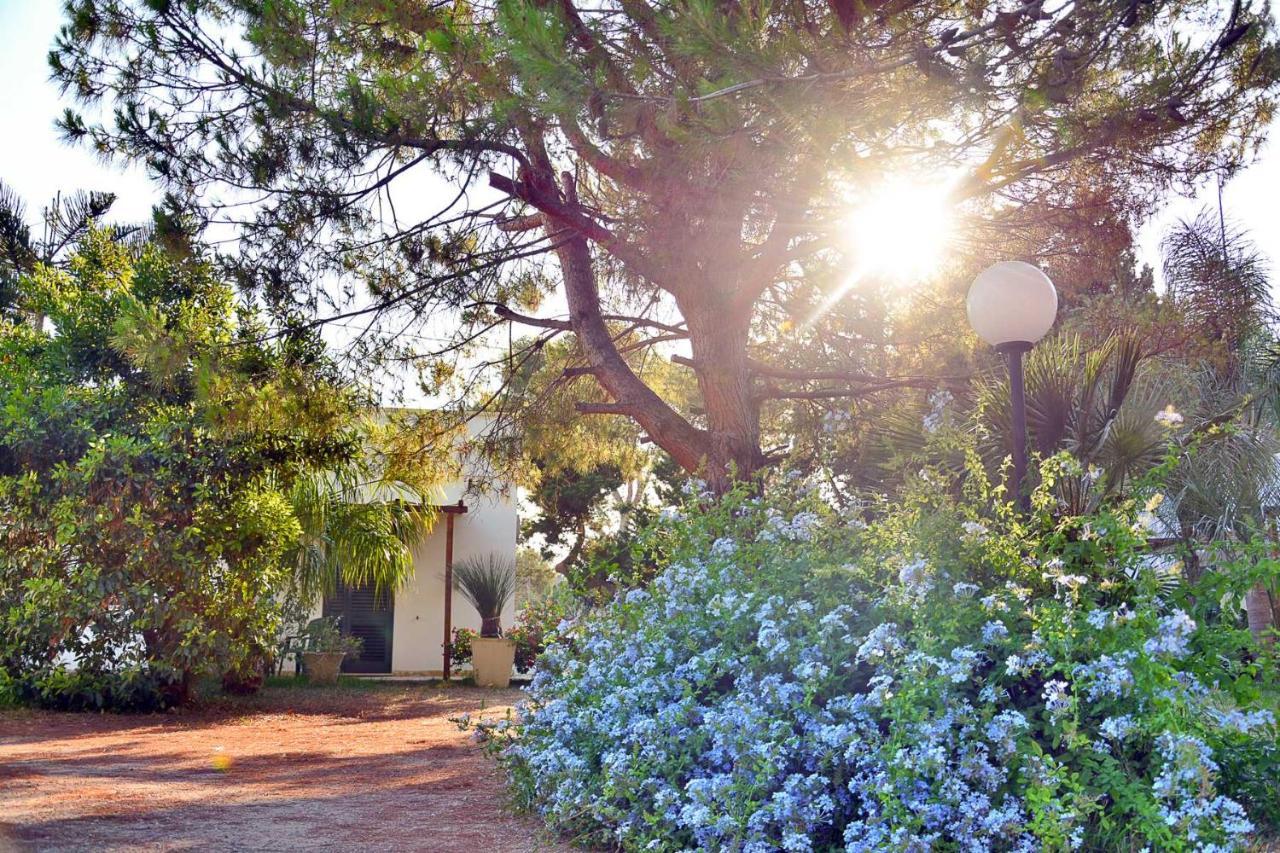 Masseria Lama トッレ・デル・オルソ エクステリア 写真