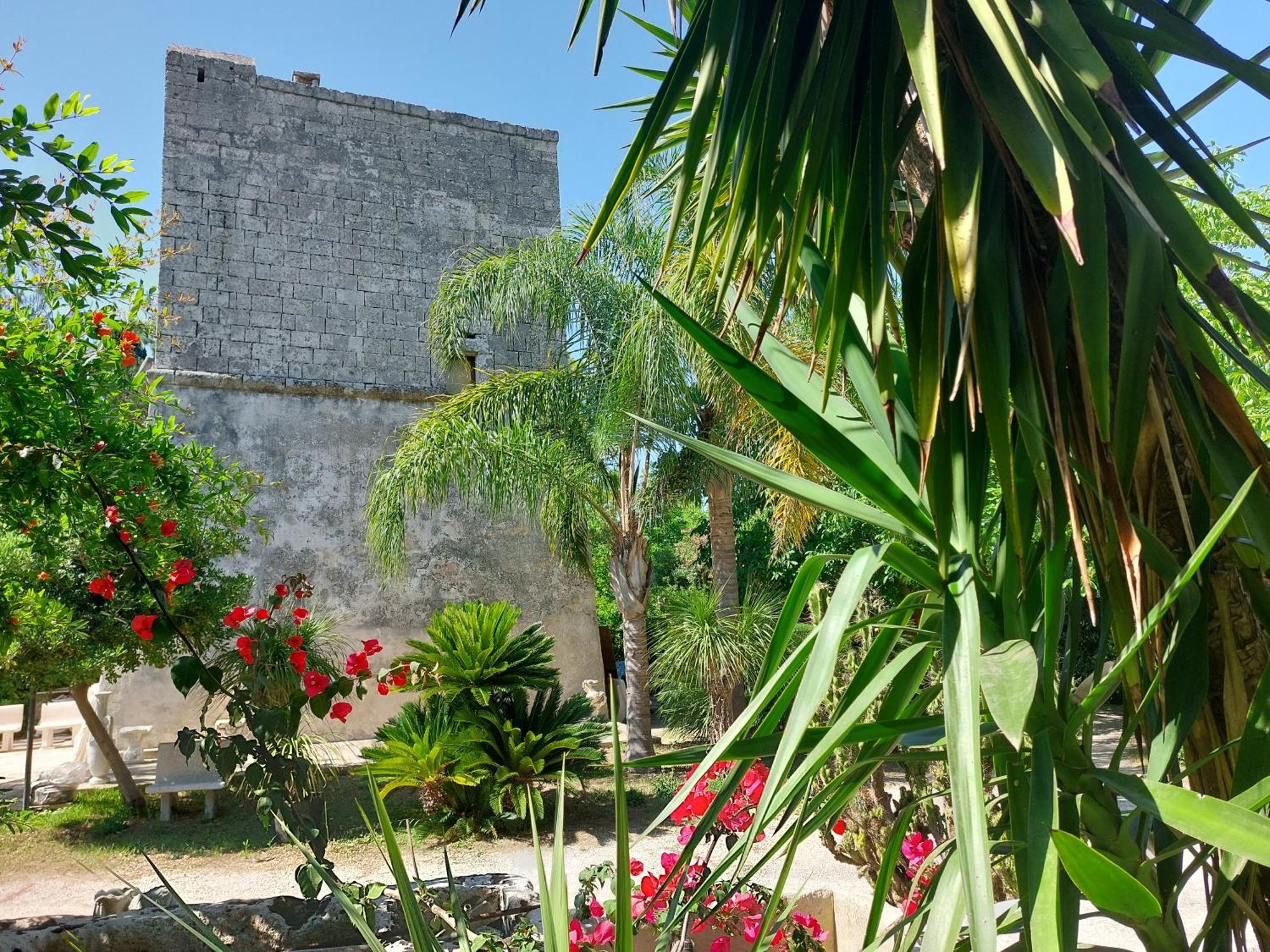 Masseria Lama トッレ・デル・オルソ エクステリア 写真