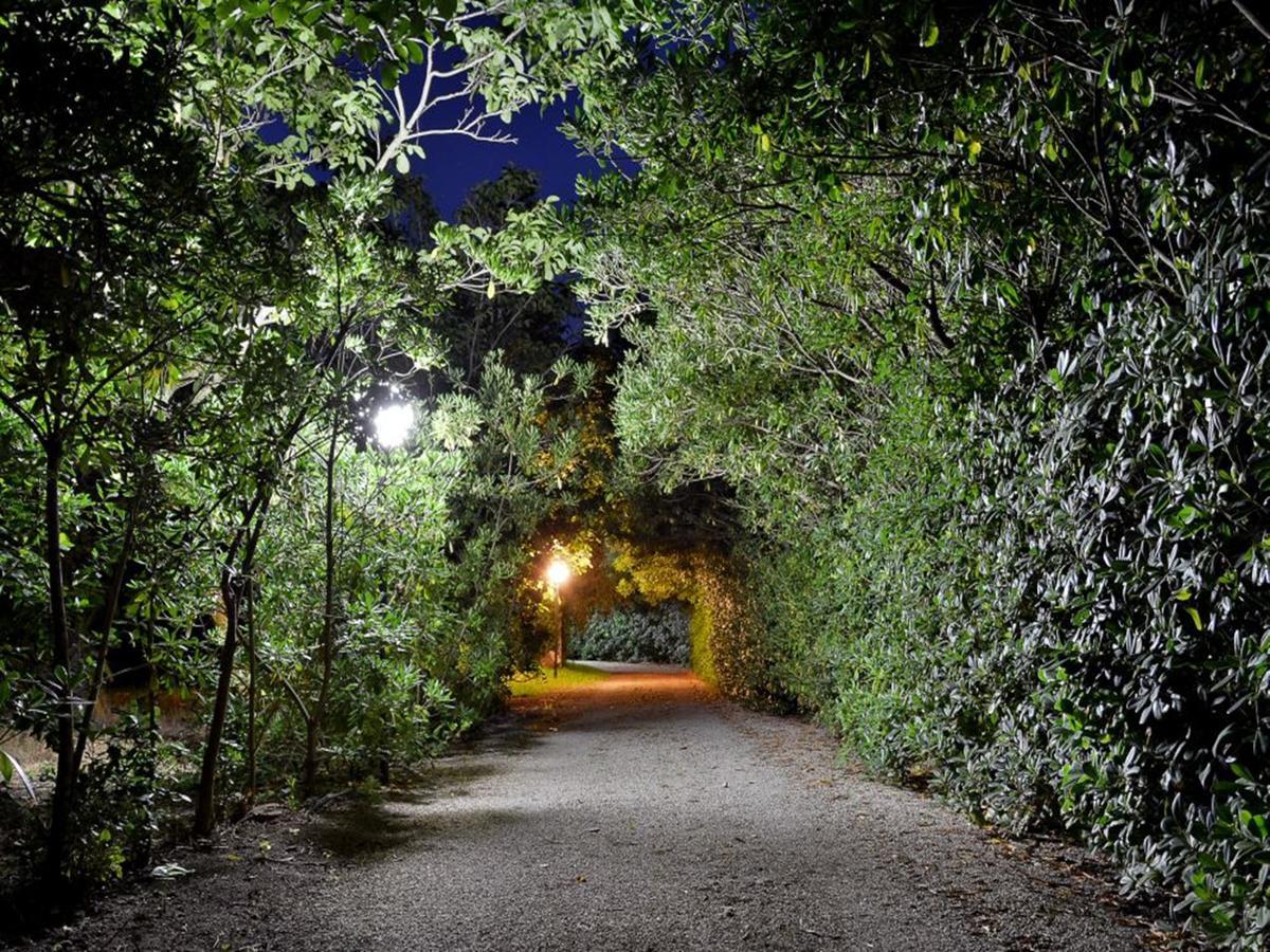Masseria Lama トッレ・デル・オルソ エクステリア 写真